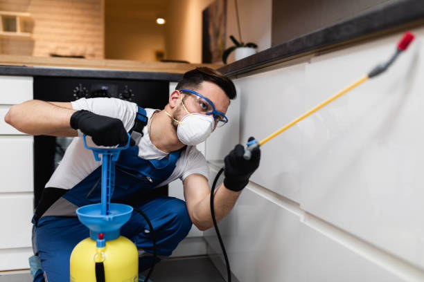 Best Wasp Removal Services  in Newburg, WI