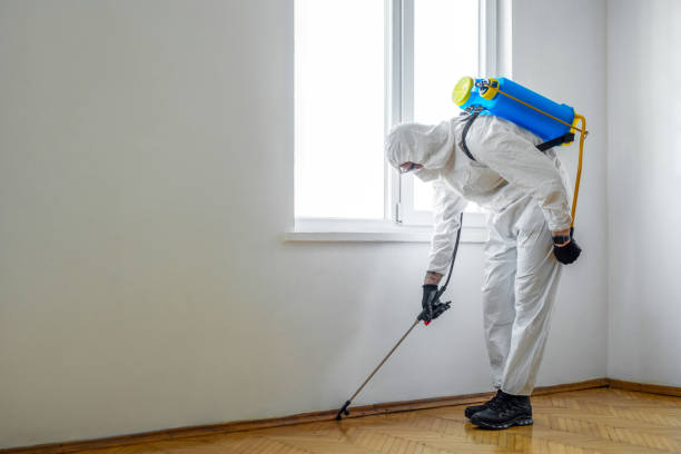 Best Pest Removal Services  in Newburg, WI