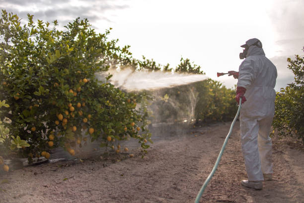 Best Wildlife Control Services  in Newburg, WI