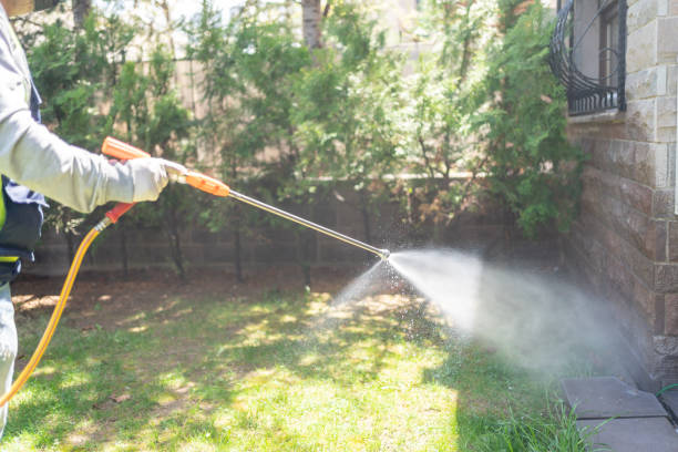Best Cockroach Control Services  in Newburg, WI