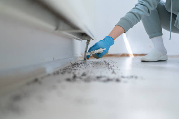 Best Pest Control Near Me  in Newburg, WI